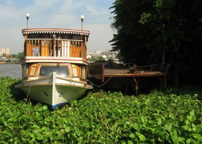 A Boat on the Chao Phraya