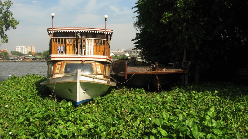 A Boat on the Chao Phraya